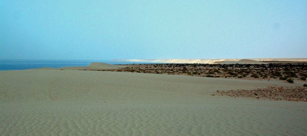 032.jpg