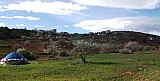 2014-02-09_10-47-32.jpg