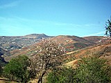 2014-02-11_09-47-52.jpg